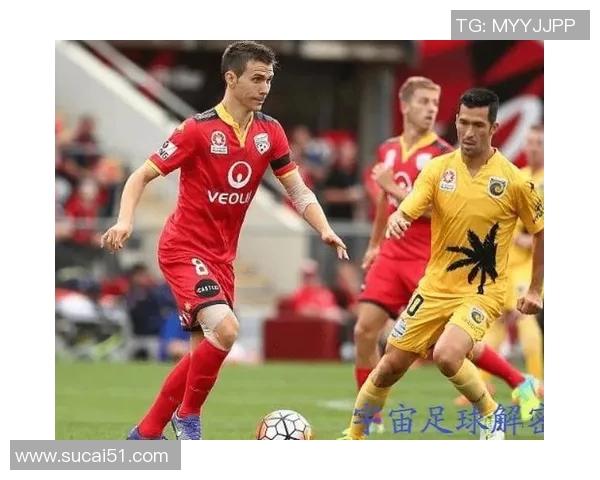 足球明星运动寿命的秘密与影响因素探讨