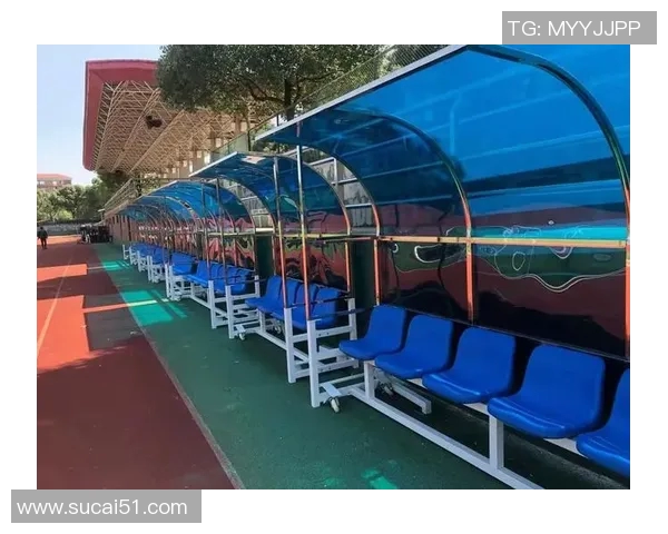 南京足球队耐力争议引发热议球迷与专家各执己见探讨球队未来发展方向